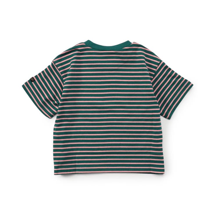 【WEB限定】ボーダー&無地ベーシック半袖Tシャツ | F.O.Online Store | 詳細画像15 