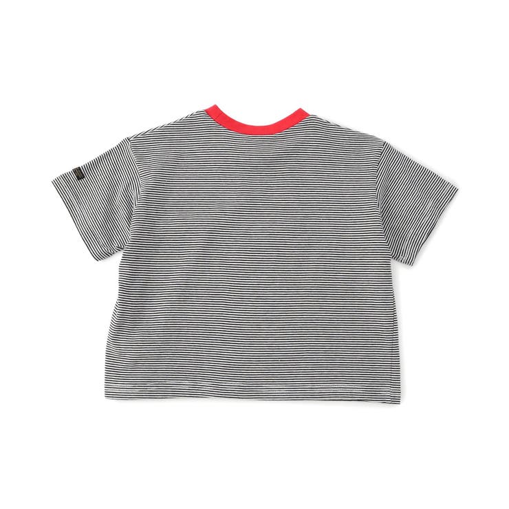 【WEB限定】ボーダー&無地ベーシック半袖Tシャツ | F.O.Online Store | 詳細画像23 