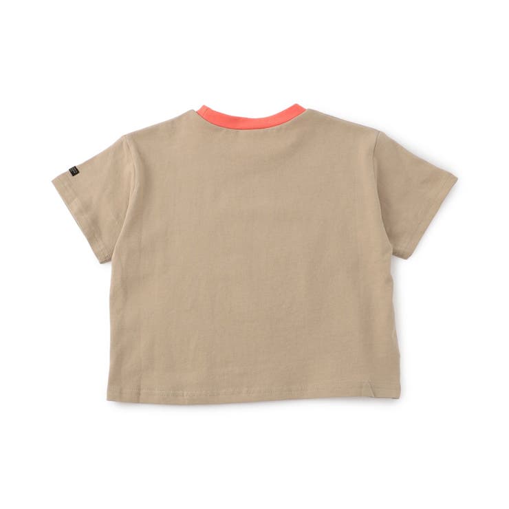 【WEB限定】ボーダー&無地ベーシック半袖Tシャツ | F.O.Online Store | 詳細画像3 