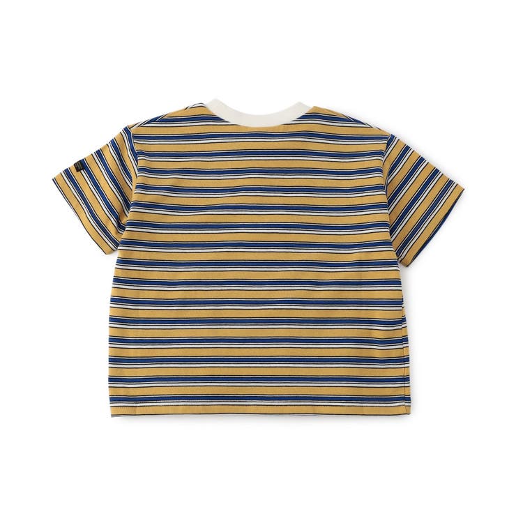 【WEB限定】ボーダー&無地ベーシック半袖Tシャツ | F.O.Online Store | 詳細画像51 