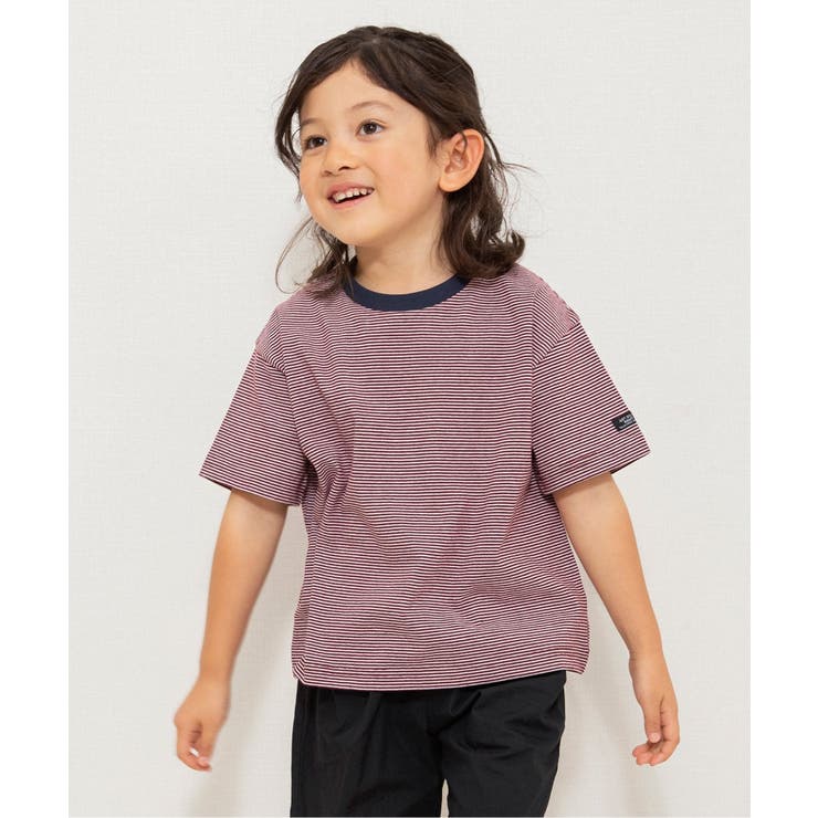 ワインレッド | 【WEB限定】ボーダー&無地ベーシック半袖Tシャツ | F.O.Online Store