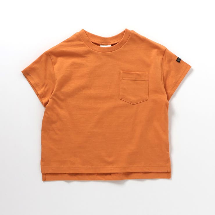 WEB限定  ボーダー&無地半袖Tシャツ | F.O.Online Store | 詳細画像11 