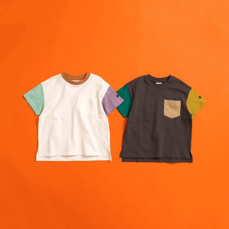 WEB限定  ボーダー&無地半袖Tシャツ | F.O.Online Store | 詳細画像31 
