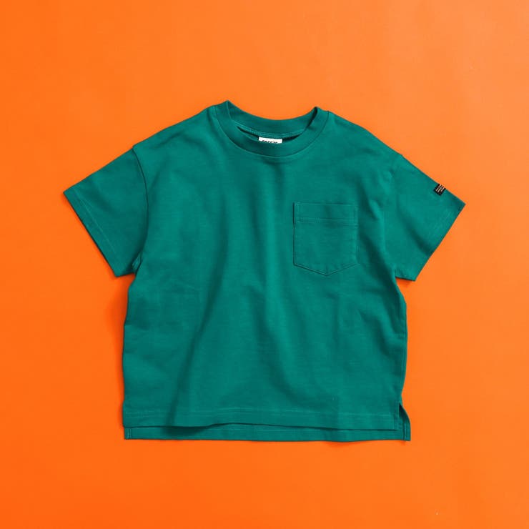 エメラルドグリーン | WEB限定  ボーダー&無地半袖Tシャツ | F.O.Online Store