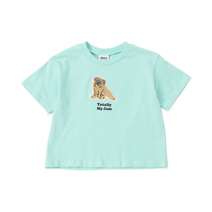 WEB限定  ワンポイントサガラワッペンTシャツ | F.O.Online Store | 詳細画像15 