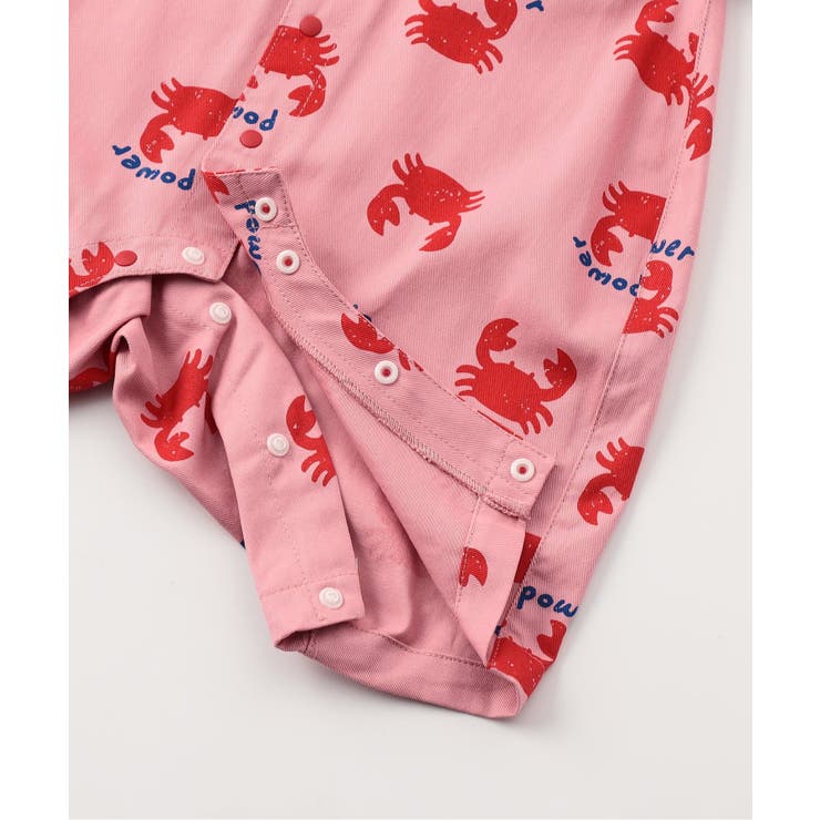 【リンク】シェフシャツオール | F.O.Online Store | 詳細画像17 