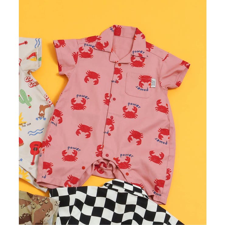 ピンク | 【リンク】シェフシャツオール | F.O.Online Store