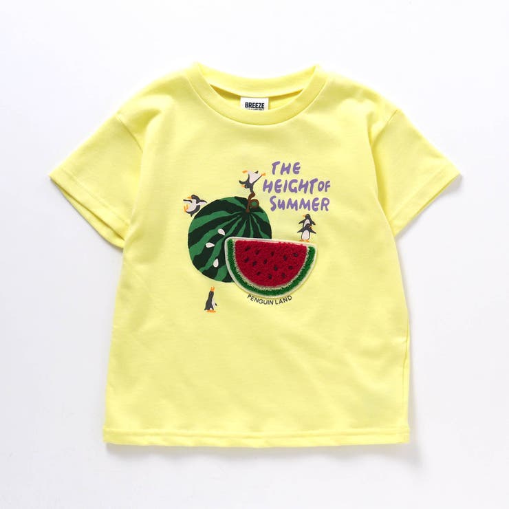 接触冷感・吸水速乾】3柄4色サガラワッペンTシャツ[品番