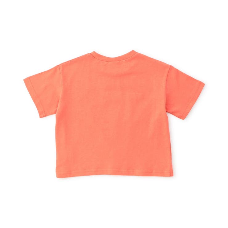 グラフィックバリエーションTシャツ | F.O.Online Store | 詳細画像15 