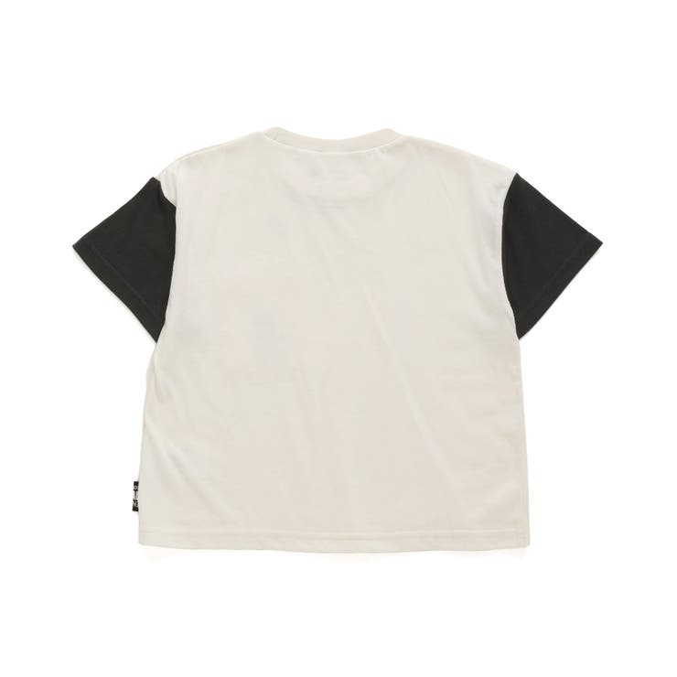 刺繍Tシャツ 刺繍 ワッペン Tシャツ Tシャツ 半袖 楽天市場】星柄ワッペンTシャツ メンズ [M便 1/1] tシャツ 半袖T