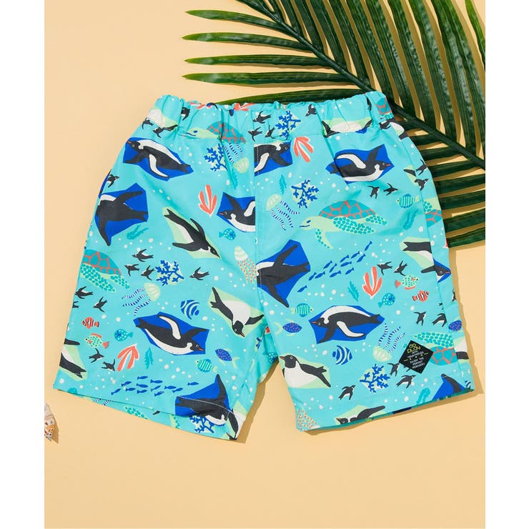 ブルー | わくわくビーチショーツ  4分丈 | F.O.Online Store