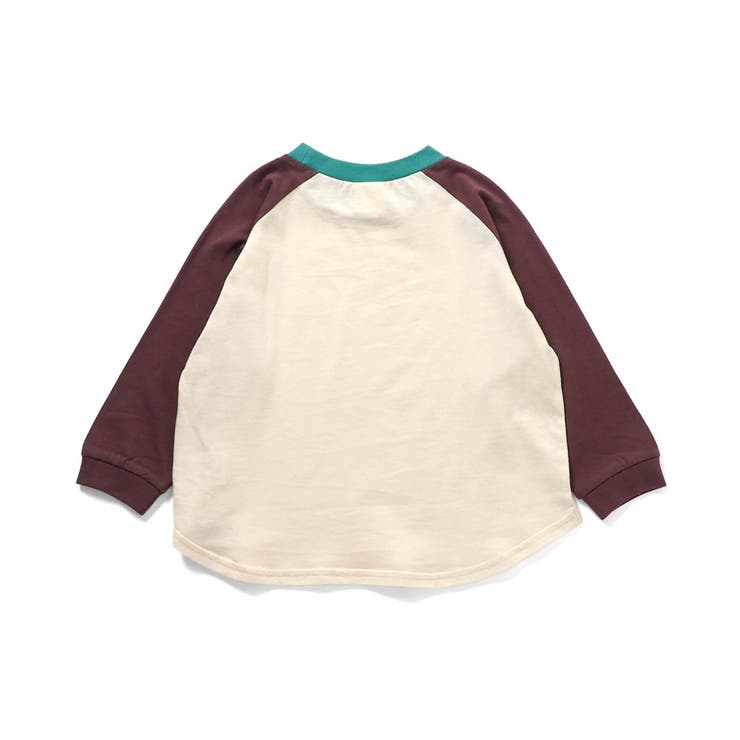 WEB限定  ラグランカラバリTシャツ | F.O.Online Store | 詳細画像12 