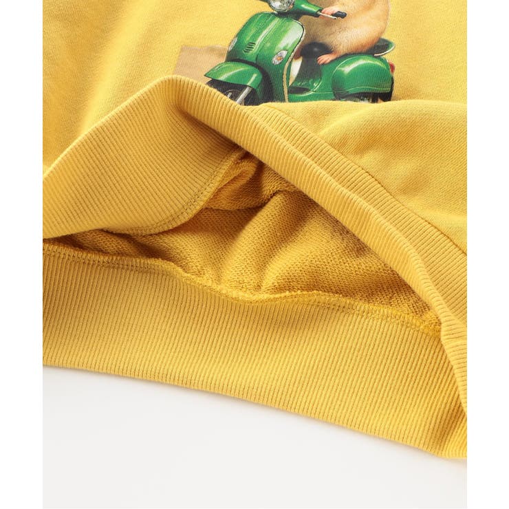 アニマルフォトプリントトレーナー  | F.O.Online Store | 詳細画像3 