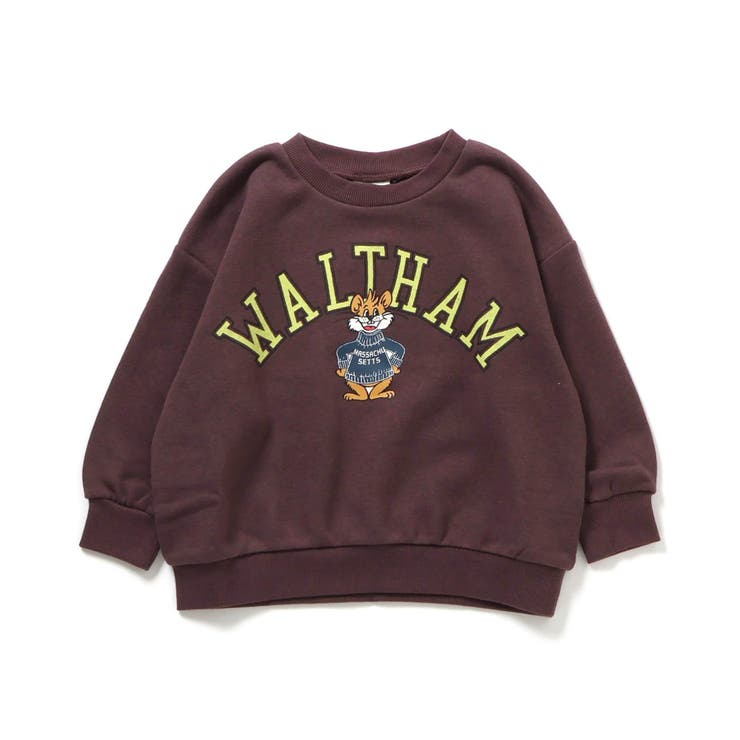 ブラウン | WEB限定  カラバリグラフィックトレーナー  | F.O.Online Store