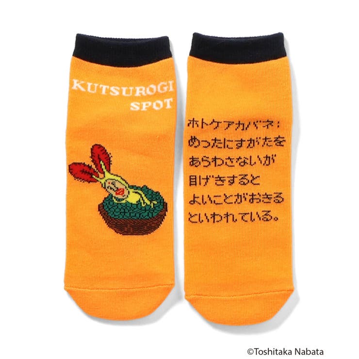 こびとづかん バラエティソックス  | F.O.Online Store | 詳細画像4 