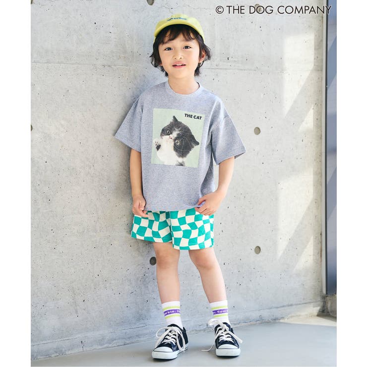 3つセットラインソックス | F.O.Online Store | 詳細画像7 