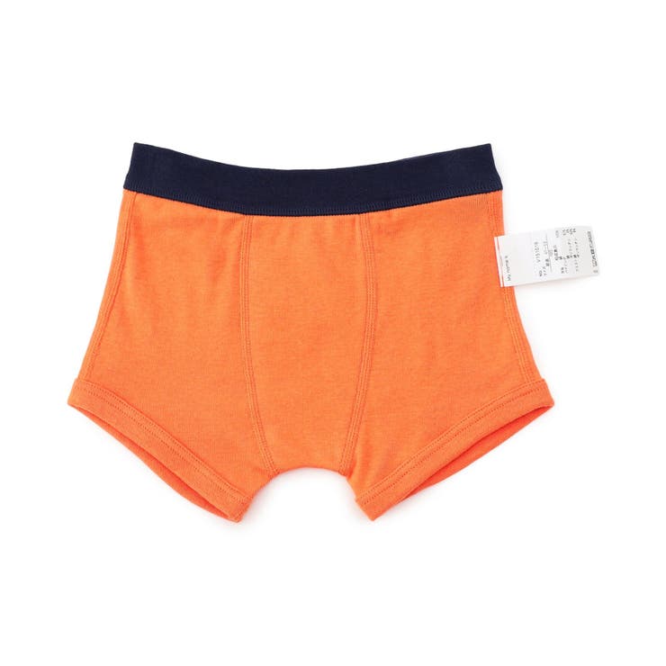 BOYS恐竜・乗り物バックプリントパンツ | F.O.Online Store | 詳細画像7 