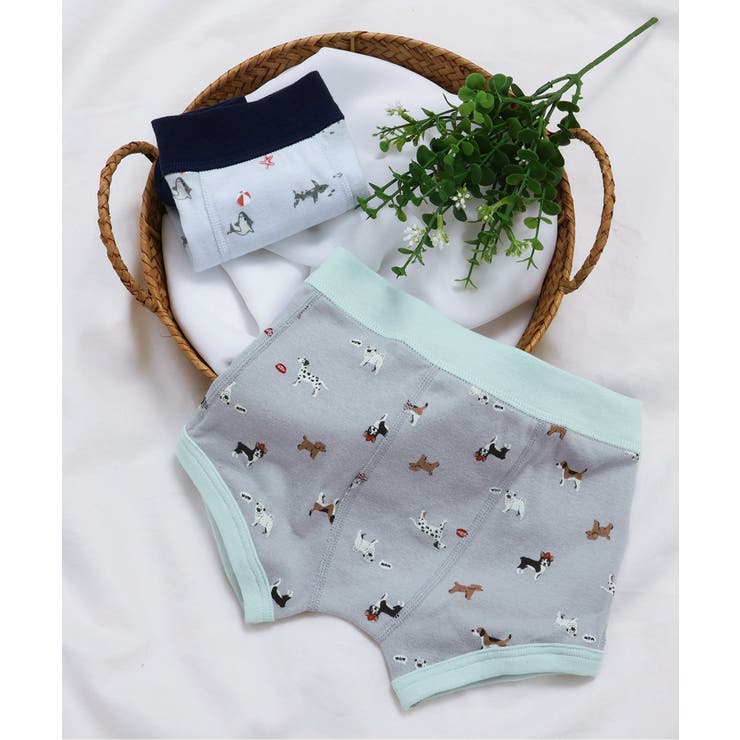 BOYSサメ・犬総柄パンツ | F.O.Online Store | 詳細画像4 