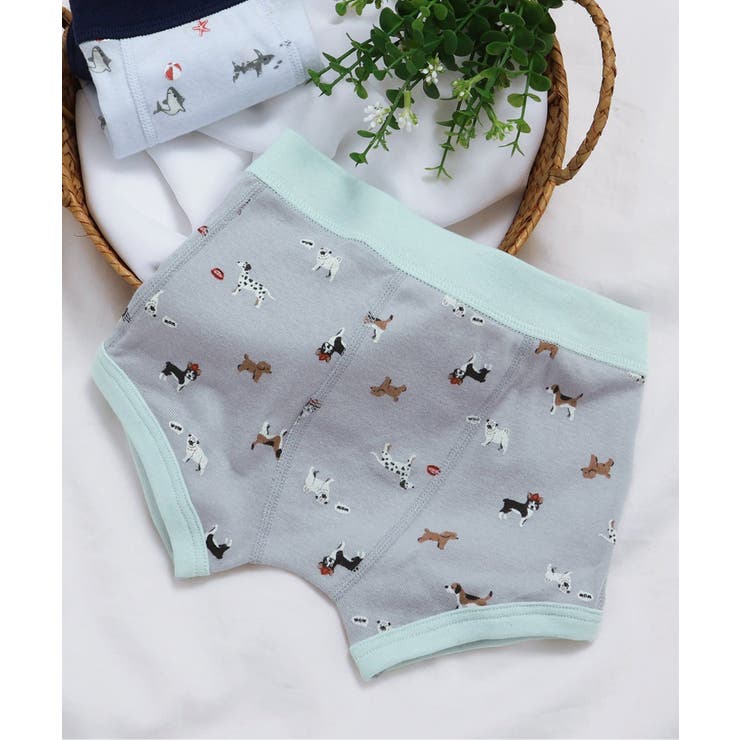 ライトグレー | BOYSサメ・犬総柄パンツ | F.O.Online Store