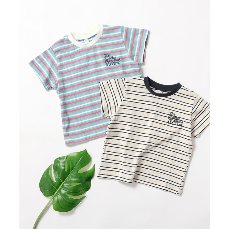 ALCロゴボーダーTシャツ | F.O.Online Store | 詳細画像6 