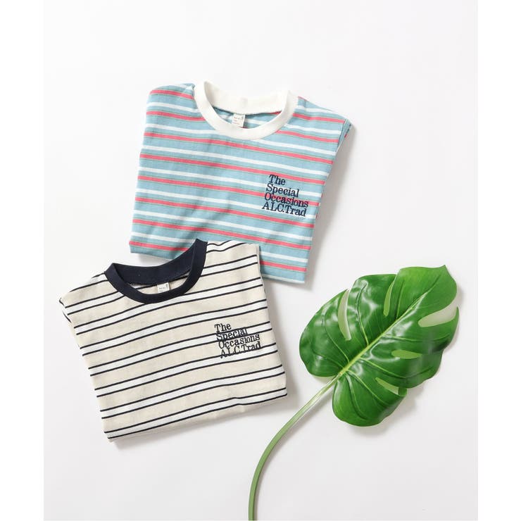 ALCロゴボーダーTシャツ | F.O.Online Store | 詳細画像8 