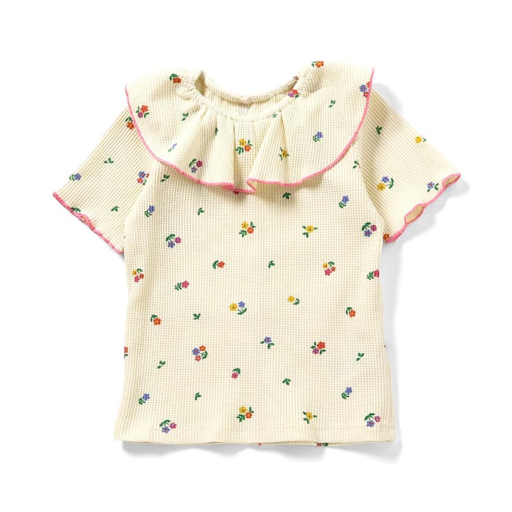 WEB限定 ワッフルフリル衿Tシャツ | F.O.Online Store | 詳細画像9 