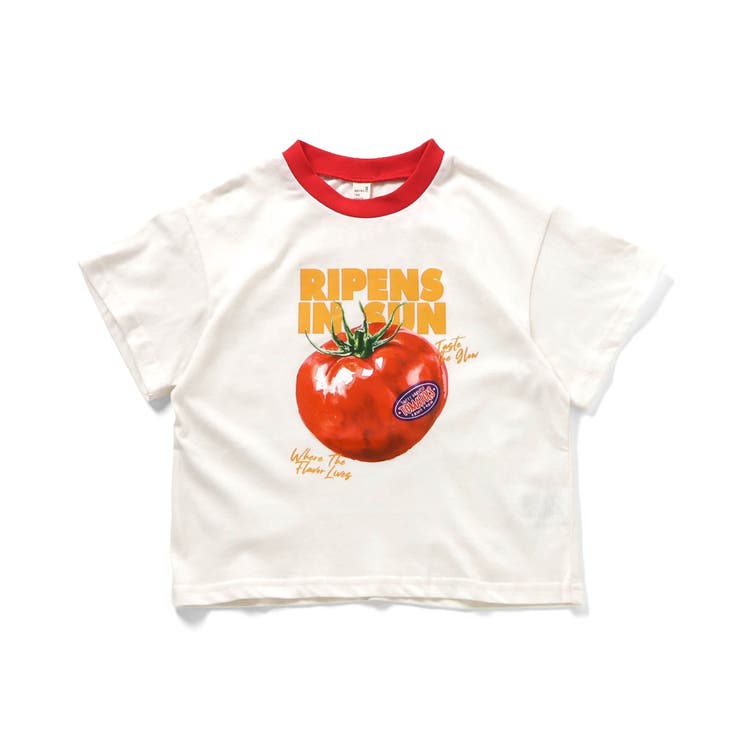 5柄アソートTシャツ | F.O.Online Store | 詳細画像12 