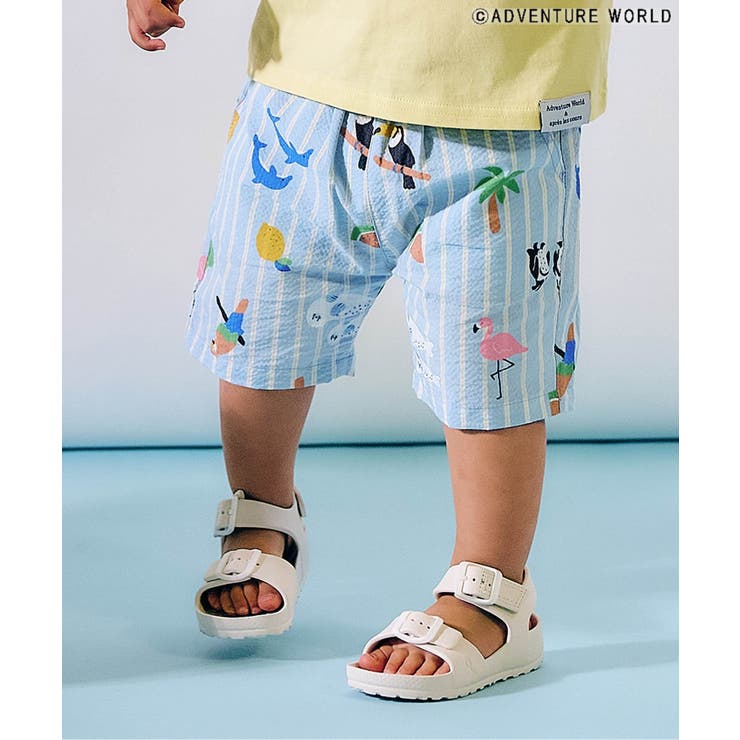 ブルー | 【リンク】アドベンチャーワールドハーフパンツ  5分丈 | F.O.Online Store