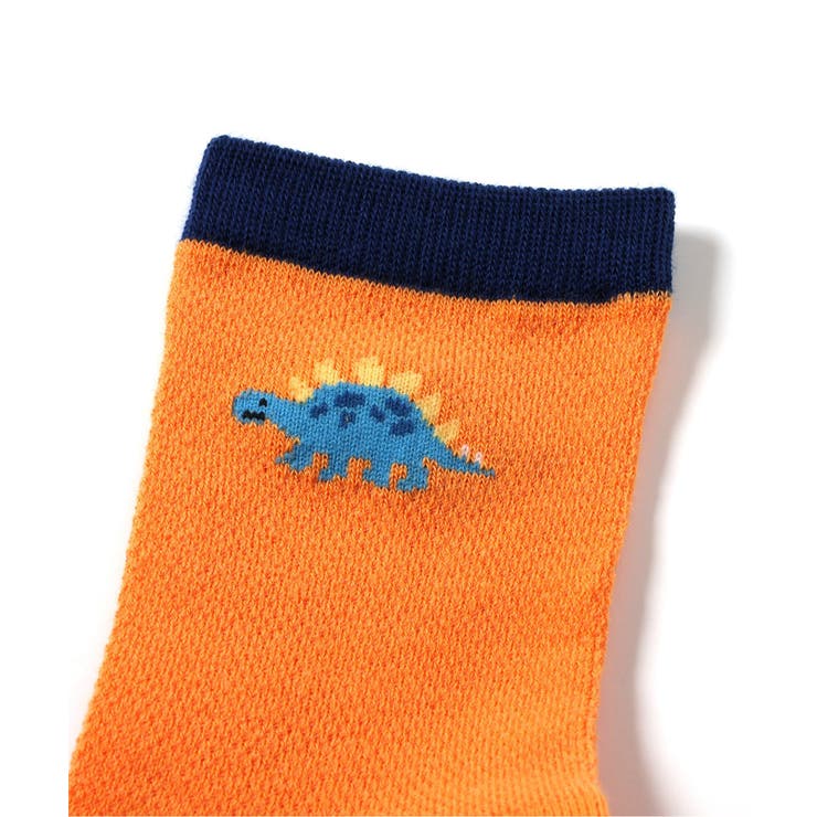 恐竜柄吸水速乾クルーソックス | F.O.Online Store | 詳細画像7 