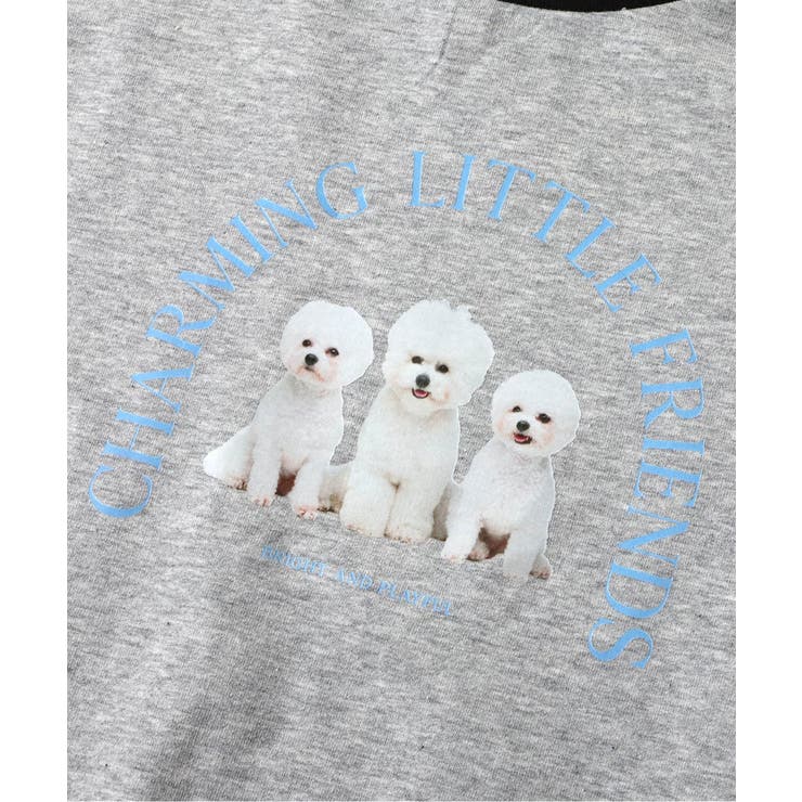 【リンク】バラエティ転写モチーフTシャツ  | F.O.Online Store | 詳細画像7 