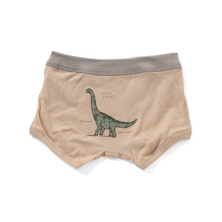 BOY'S3柄恐竜パンツ[品番：FOKK0008689]｜F.O.Online Store（エフオー