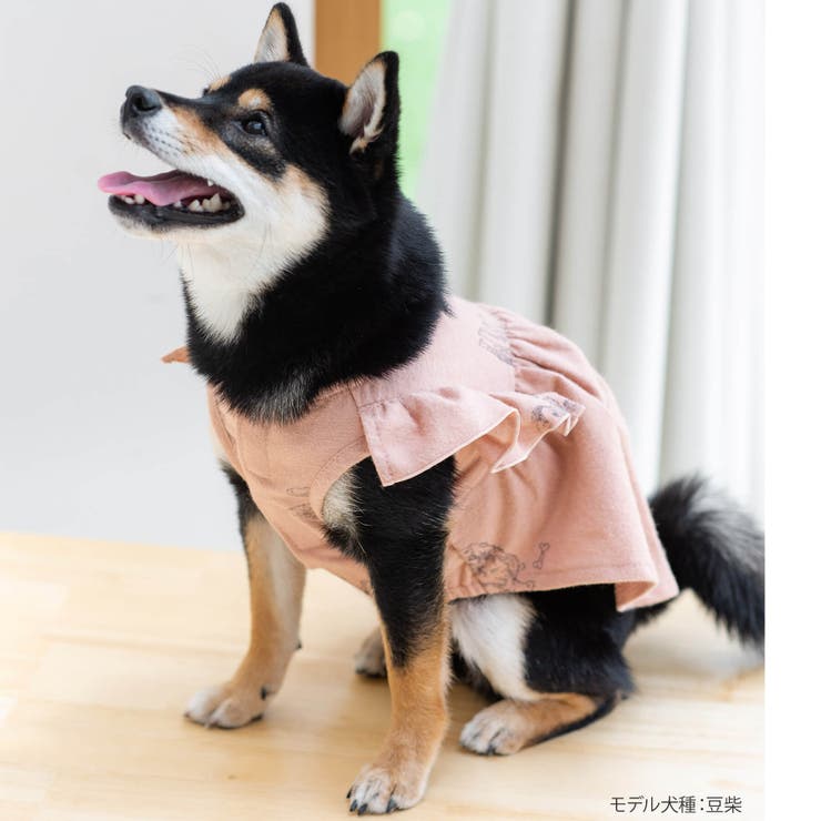 cotton flannel小型犬サイズ・犬服(ドッグウェア)・ドレス