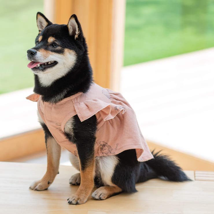 cotton flannel小型犬サイズ・犬服(ドッグウェア)・ドレス[品番