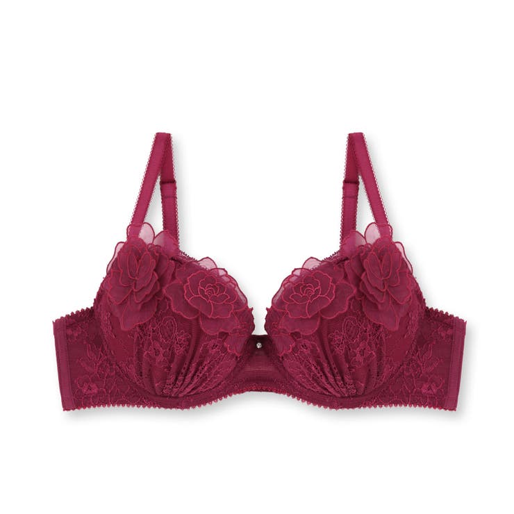 ワイン | emotional エモーショナル コーディネートブラジャー | fran de lingerie
