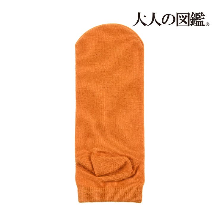 大人の図鑑 靴下 ツタンカーメンの棺 スニーカー丈 (3282-15N) | 福助オンラインストア | 詳細画像5 