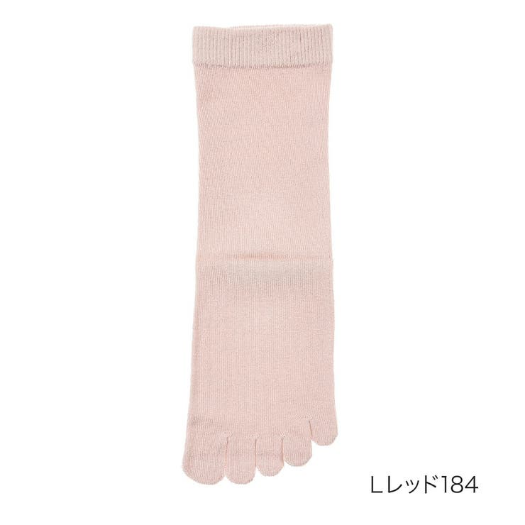 Ｌレッド184