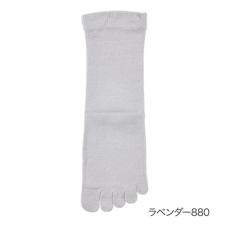 ラベンダー880