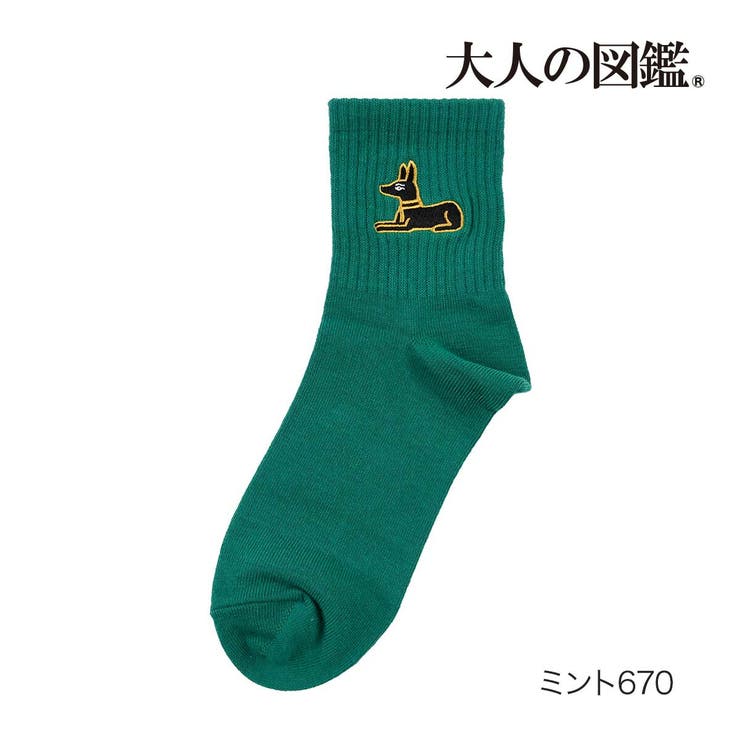 ミント670
