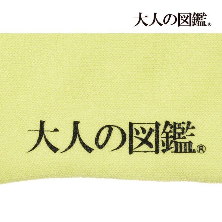 福助 【大人の図鑑】 靴下 | 福助オンラインストア | 詳細画像4 