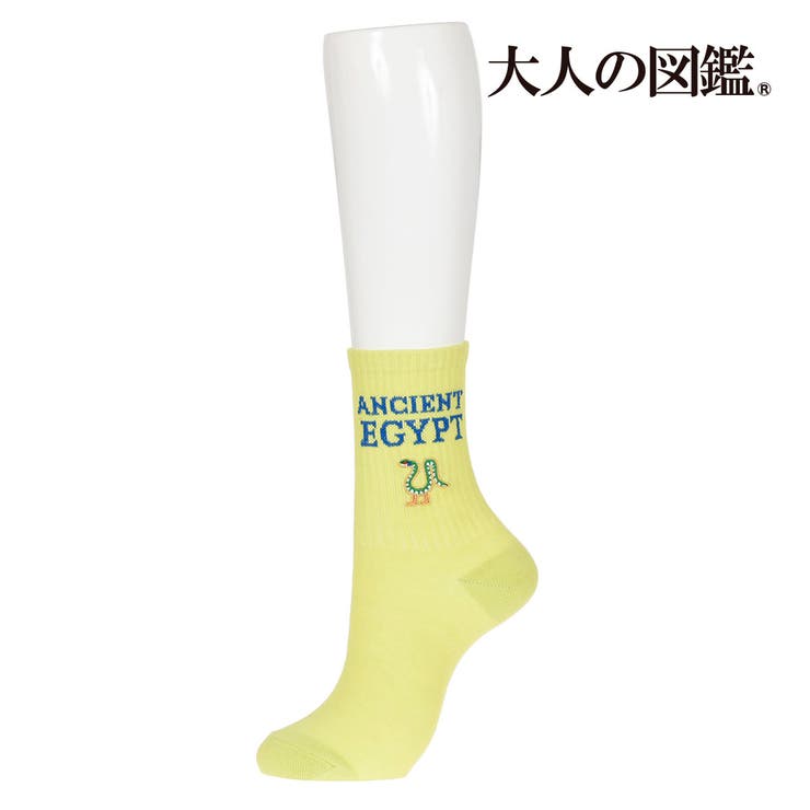 福助 【大人の図鑑】 靴下 | 福助オンラインストア | 詳細画像5 