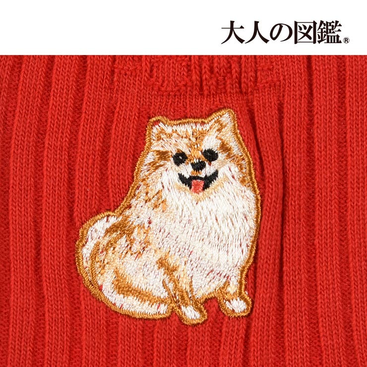 福助 靴下 ポメラニアン編[品番：FKSU0012229]｜福助オンラインストア