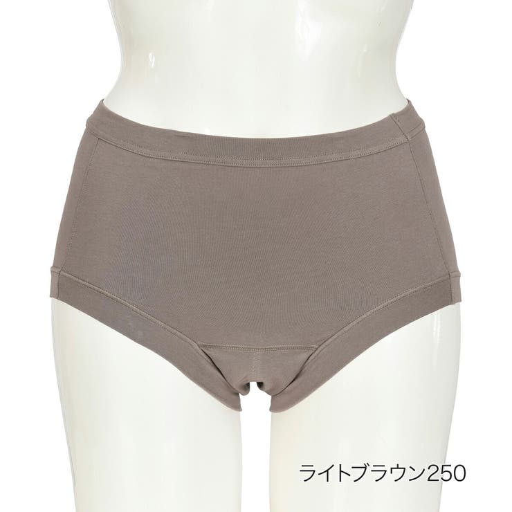 ライトブラウン250