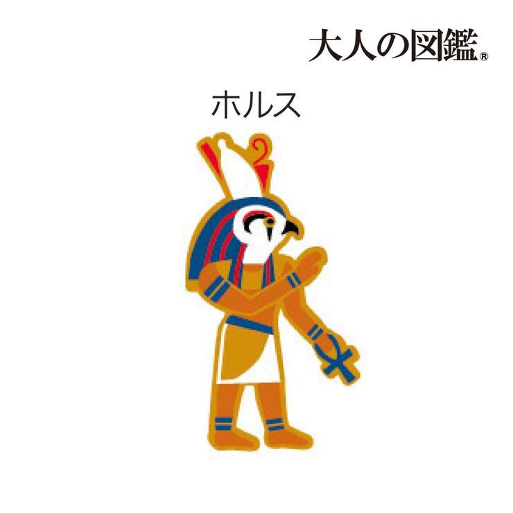 大人の図鑑 靴下 ホルス | 福助オンラインストア | 詳細画像6 