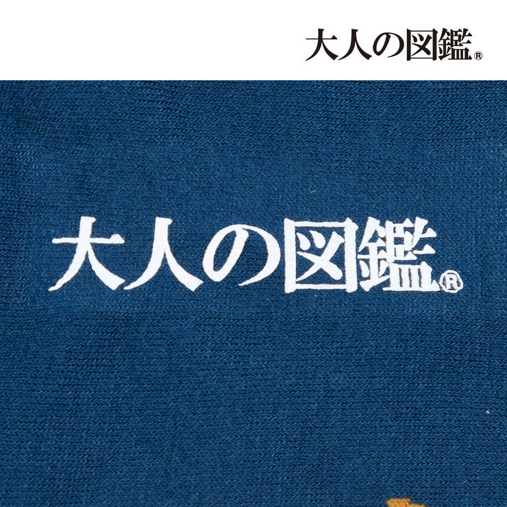大人の図鑑 靴下 ホルス アテン スニーカー丈 (3182-13P) | 福助オンラインストア | 詳細画像5 