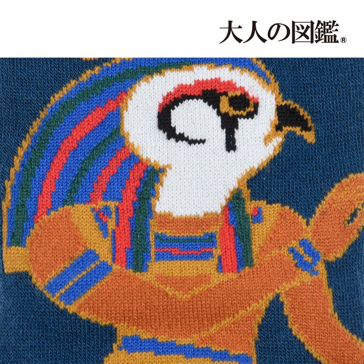 大人の図鑑 靴下 ホルス アテン スニーカー丈 (3182-13P) | 福助オンラインストア | 詳細画像6 