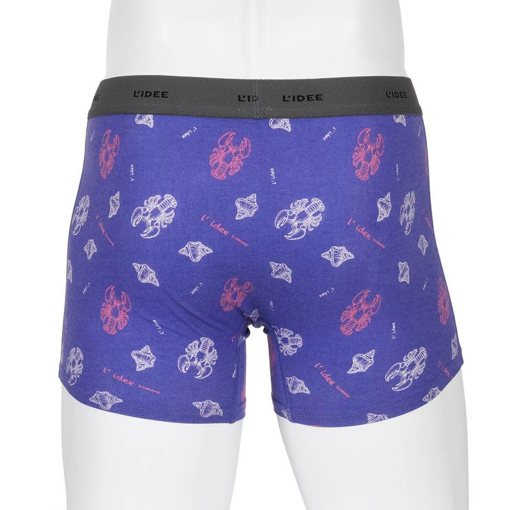 LIDEE(リディー) ボクサーブリーフ ショート丈 (453P9061) | 福助オンラインストア | 詳細画像2 