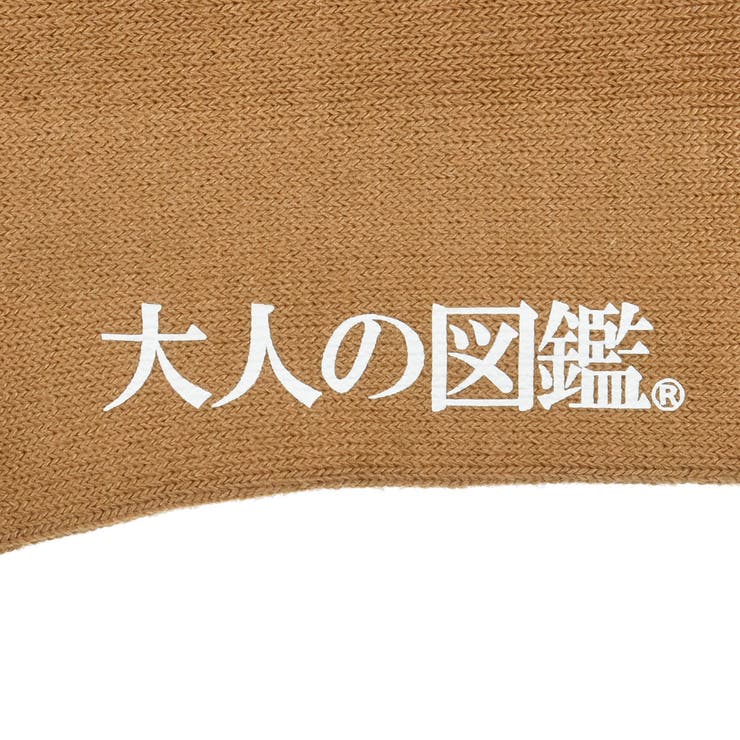 大人の図鑑 靴下 無地 | 福助オンラインストア | 詳細画像4 