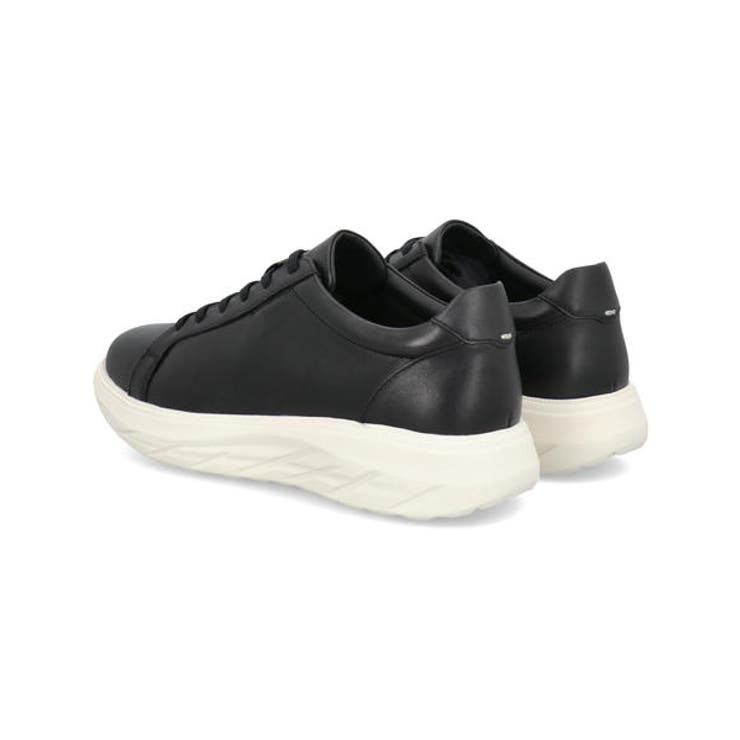 Whoop de doo | ASBee  | 詳細画像2 