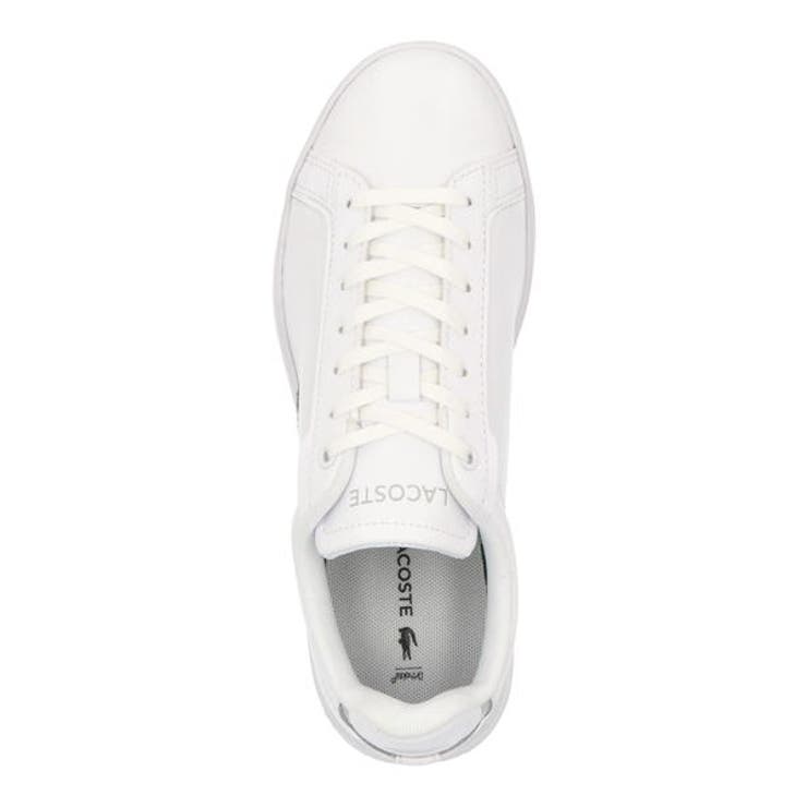 LACOSTE ラコステ CARNABY | ASBee  | 詳細画像5 