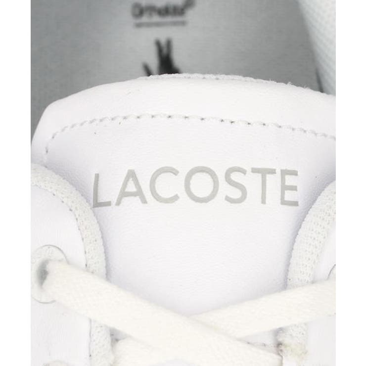 LACOSTE ラコステ CARNABY | ASBee  | 詳細画像7 